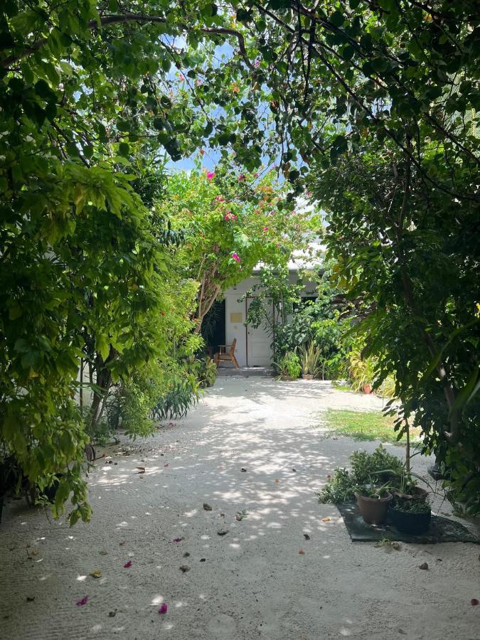 Lagoon Villa Maldives 토두 외부 사진