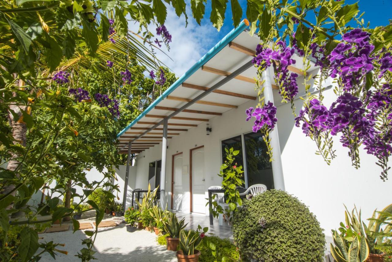 Lagoon Villa Maldives 토두 외부 사진